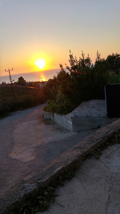 Photos of Şht. J. Şahin Abanoz Parkı
