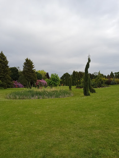 Crowle - Visual
