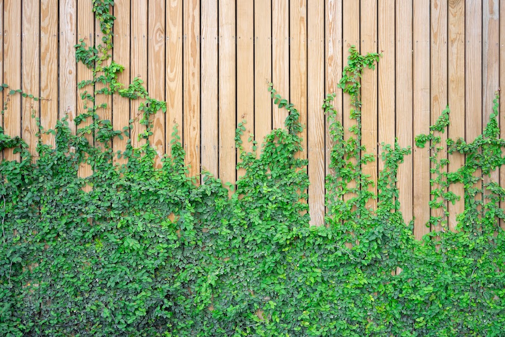 Art-Parc - Paysagistes Paris
