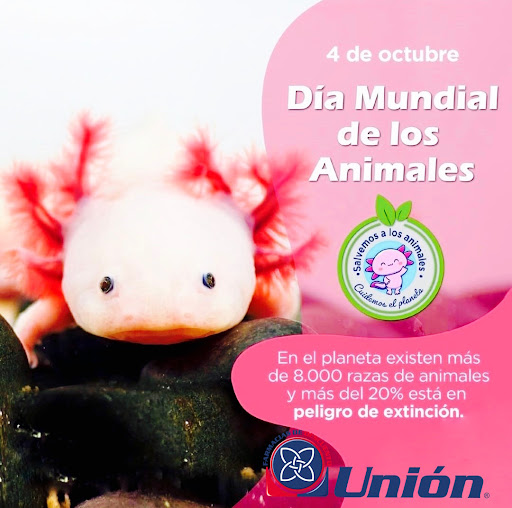 Farmacias Unión Calle 35 - Thumbnail
