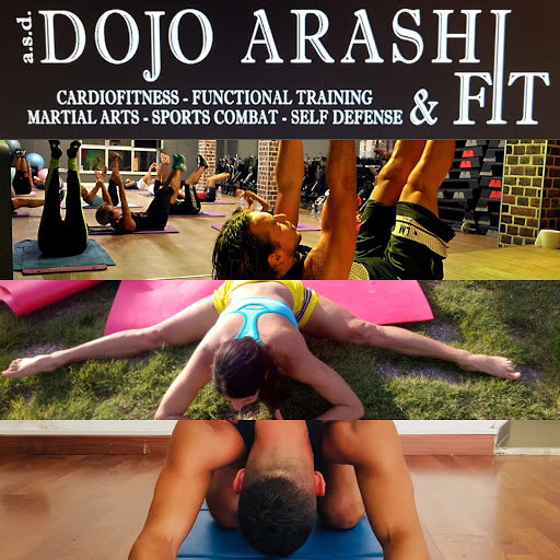 Dojo Arashi & Fit Taranto Logo