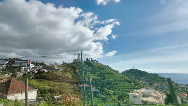 Igreja Matriz de São Martinho - Igreja