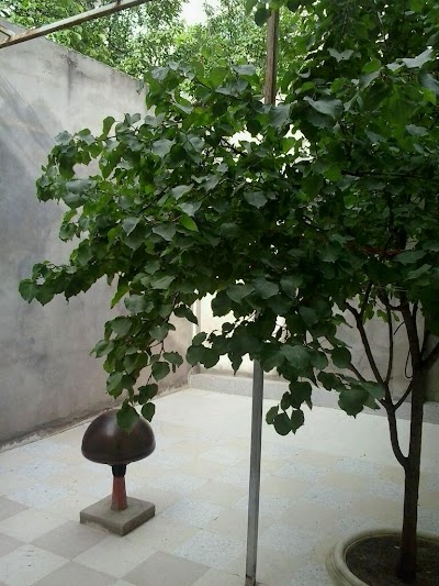 Photos of الركن السوري للوجبات السريعة