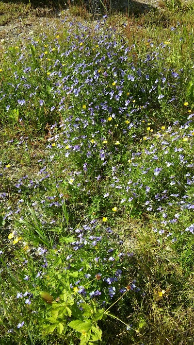 Photos of Eikesdal Hytteutleie