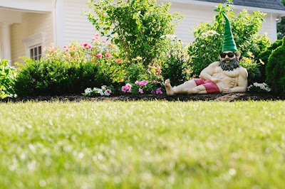 Lawn Doctor of Scranton/Wilkes-Barre