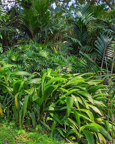 Photos of Vivero La Concha