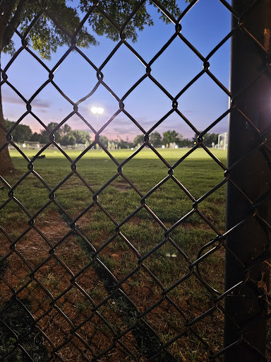 Sting Dallas Complex - Visual