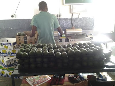 Photos of AVO FRESH