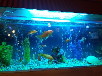 Photos of BdThemes Ltd