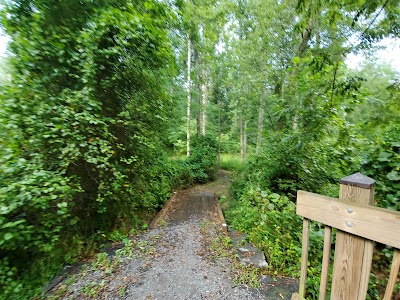 Pine Branch Trail
