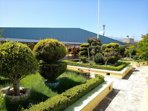 Colegio Progreso - Visual