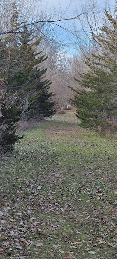 Mapleleaf Pathway - Visual
