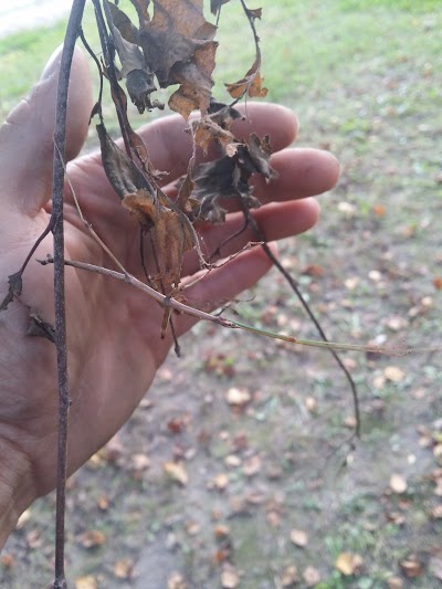 Andalusia Slough & Campground