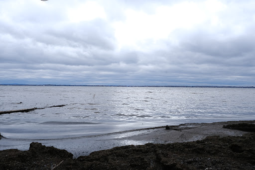 Three Mile Bay Wildlife Management Area - Thumbnail