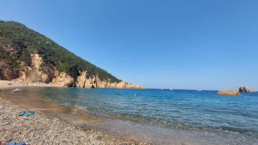 Tinnari - Visual