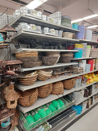 Daniel's NOFRILLS Burlington - Thumbnail
