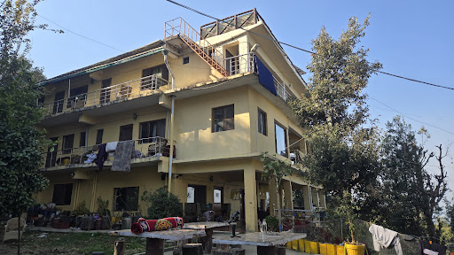 Gallery image 11