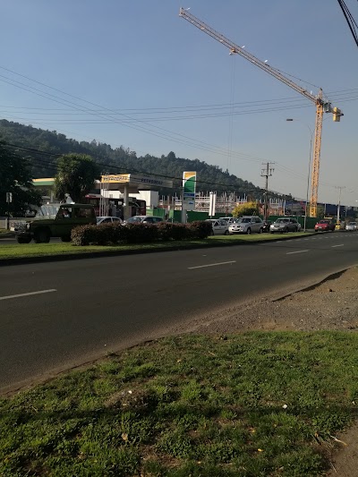 Photos of National Forestry Corp