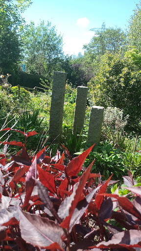 Kingsbridge Community Garden - Thumbnail
