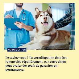 Photo n°6 de Clinique la Croix Bleue à Bagnols-sur-Cèze (Clinique vétérinaire)