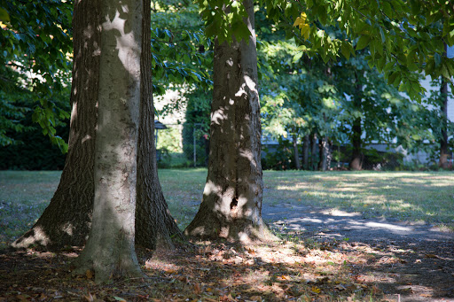 Parc de la Principale