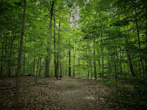 Seneca Ponds - Visual
