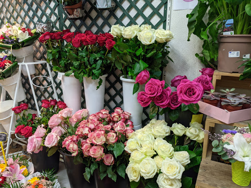 Fleurs de Mai Gallery - France