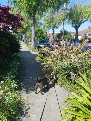 Berkeley Way Mini-Park Gallery - United States