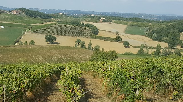 Azienda Agricola Monchino