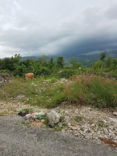 Photos of Tapion de Petit Goave