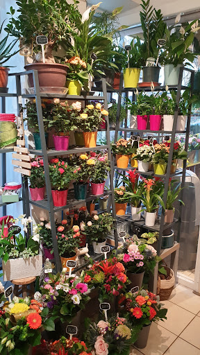 A La Campagne - Fleuriste Boulogne Billancourt - Thumbnail