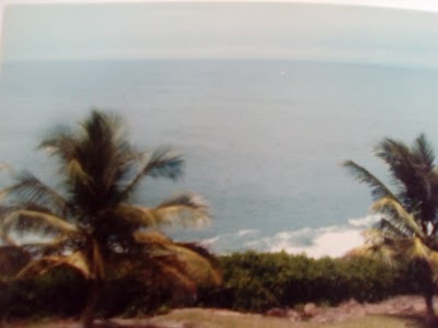 Photos of La Baie des Sirenes