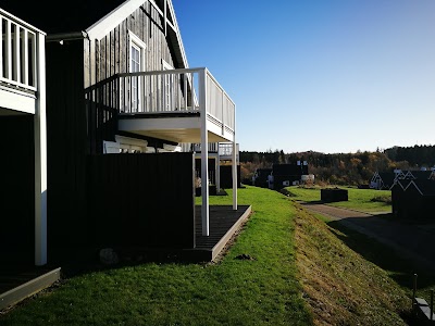 Photos of Dayz S&oslash;h&oslash;jlandet