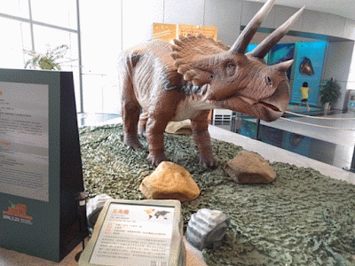 Photos of Macau Science Center