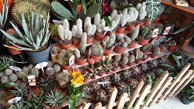 Photos of Flora Garden