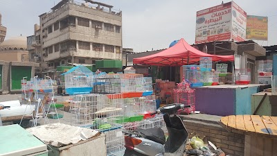Photos of Al-Ghazil Market
