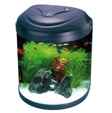 H R Fish AQUARIUM, Author: H R Fish AQUARIUM