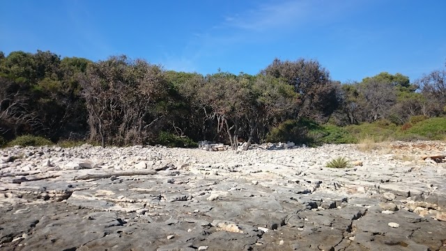 Barbariga Strand