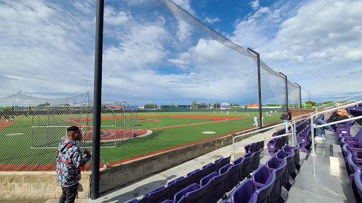 Wolfe Field - Visual