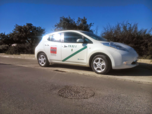 Taxi Cullar Vega Miguel