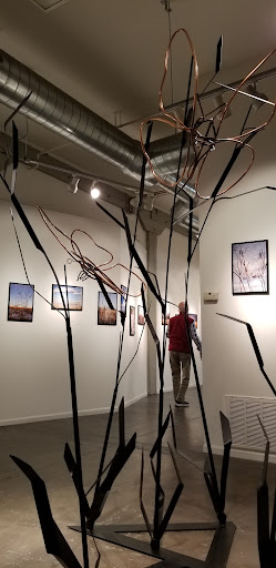 Fiber Studio - Visual
