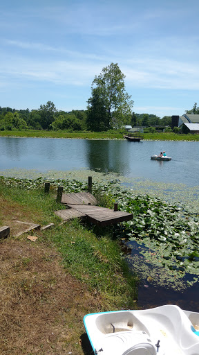 Annville Institute Pool - Thumbnail