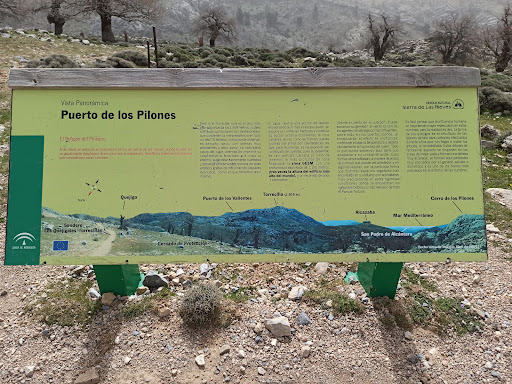 Puerto de los Pilones.Altitud 1750m - Thumbnail