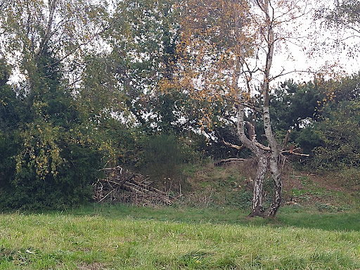 Southwell Trail Car Park - Thumbnail