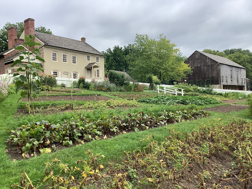 Burnside Plantation - Thumbnail