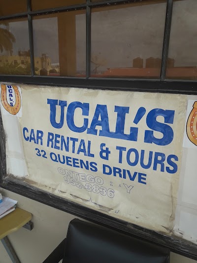 car-rental