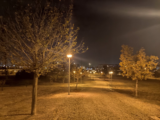 Bosque DHL - Visual