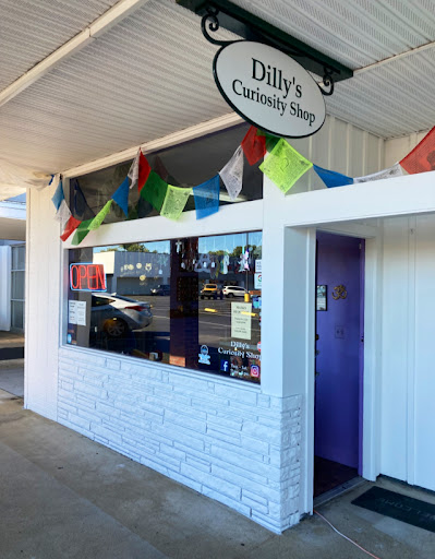 Dilly's Curiosity Shop - Thumbnail