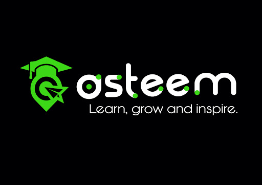 ASTEEM - Visual