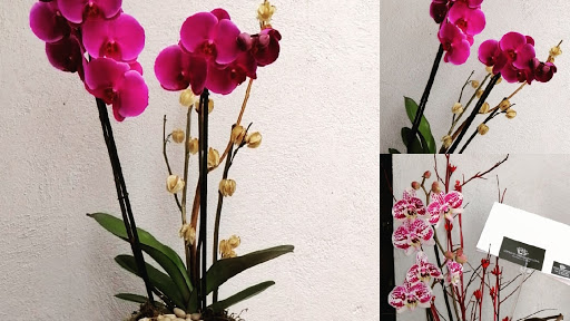 Florería Centro de Ambientación Floral - Thumbnail